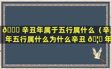 🐅 辛丑年属于五行属什么（辛丑年五行属什么为什么辛丑 🦆 年属土）